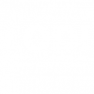 Logo von LODI - LOCATOR® Overdenture Implant System in weß